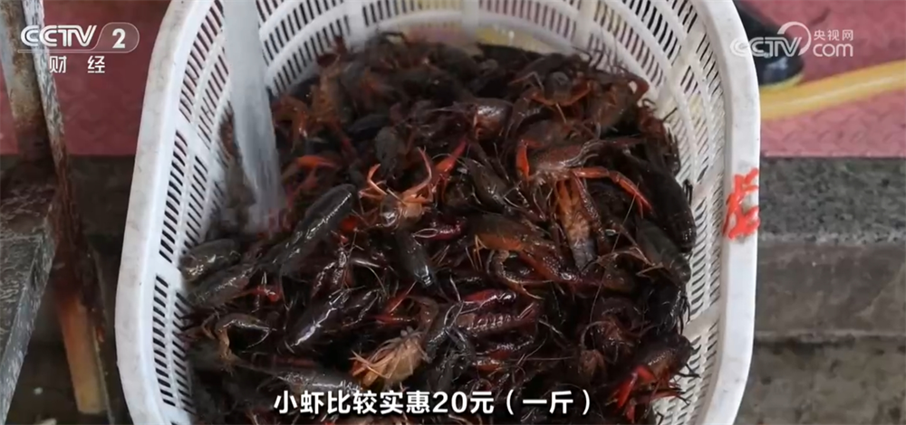 消费 “舌尖经济”热度攀升释放新活力开元棋牌“春天的味道”唤醒味蕾带动(图5)