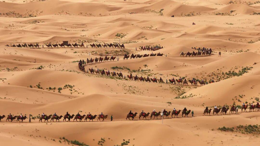 调研组丨全景中卫:沙河同框星辰近开元棋牌网站宁夏日报中卫日报联合(图3) 调研组丨全景中卫:沙河同框星辰近开元棋牌网站宁夏日报中卫日报联合(图3)