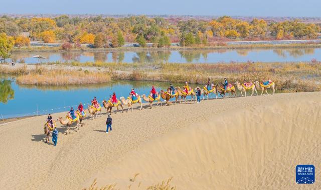 沙漠胡杨入画来开元棋牌新疆：(图4)