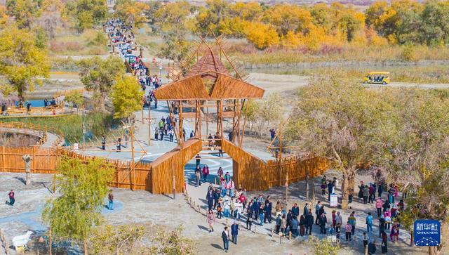 沙漠胡杨入画来开元棋牌新疆：(图1)