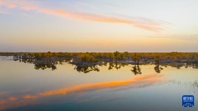 沙漠胡杨入画来开元棋牌新疆：(图3)