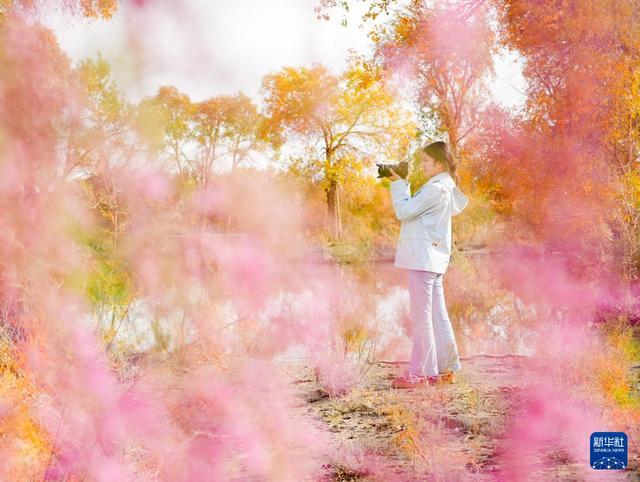 沙漠胡杨入画来开元棋牌新疆：(图2)