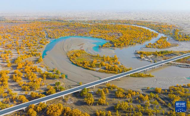 沙漠胡杨入画来开元棋牌新疆：(图8)