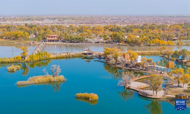 沙漠胡杨入画来开元棋牌新疆：(图7)