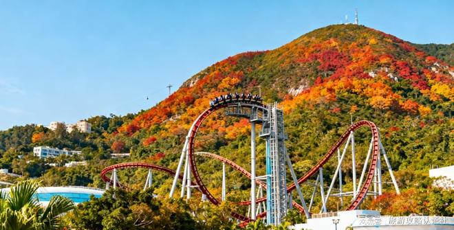 攻略大公开这样买真的赚翻了开元棋牌香港购物指南省钱(图2)